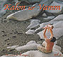 Cliquez pour agrandir et voir les d�tails de : Kalon ur vamm vol.2