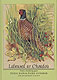 Cliquez pour agrandir et voir les d�tails de : Laboused ar c'hoado� (n�5)